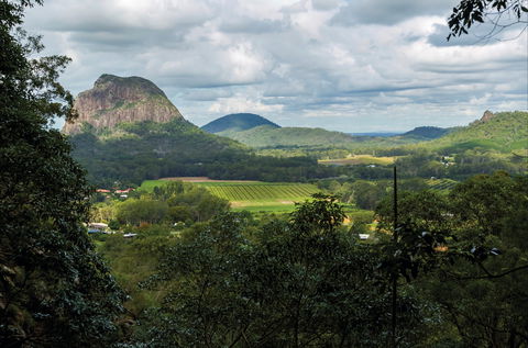 Mount Ngungun Summit Walking Track, Glass House Mountains National Park - Yamba Accommodation 1
