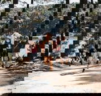 Myponga Reservoir Trail - Yamba Accommodation