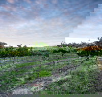 Nature and Foodies Trail - Yamba Accommodation