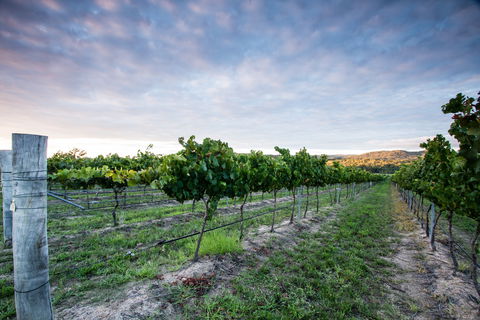 Nature And Foodies Trail - Yamba Accommodation 0