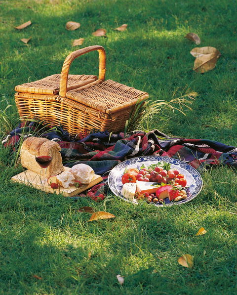Nature And Foodies Trail - Yamba Accommodation 2