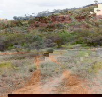 Original Glen Helen Homestead - Yamba Accommodation