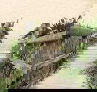 Pebbly Beach to Snake Bay walking track - Yamba Accommodation