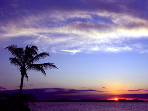 Quoin Island Retreat And Turtle Rehabilitation Centre - Yamba Accommodation 0