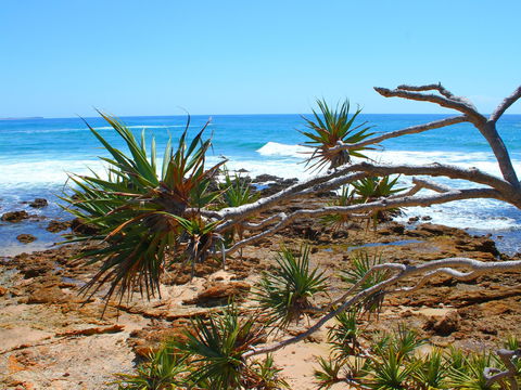 Rocky Point - Yamba Accommodation 1