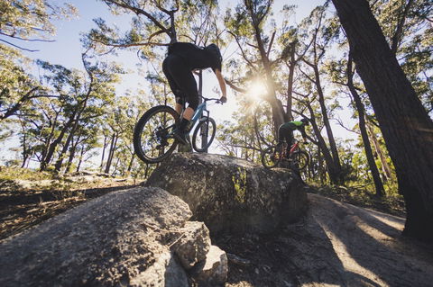 St Helens Mountain Bike Trails - Yamba Accommodation 1