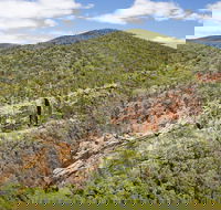 Sundown National Park - Yamba Accommodation
