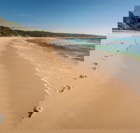 Terrace Beach and Lennards Island - Yamba Accommodation