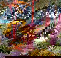 The Fernery at Diamond Waters - Yamba Accommodation