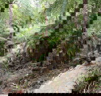 Upper Yarra Reservoir Park