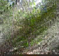Wangaratta Common Nature Conservation Reserve - Yamba Accommodation