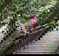 Wonga Walk - Yamba Accommodation