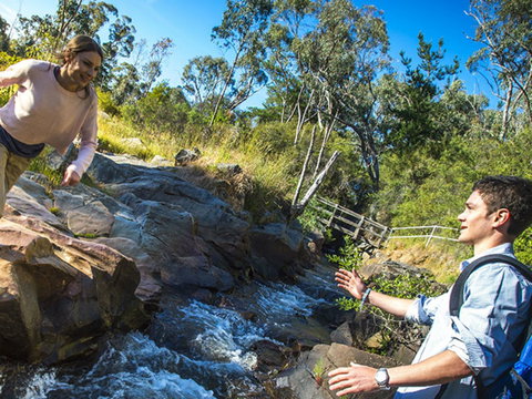 Yackandandah Gorge Scenic Walk - Yamba Accommodation 0