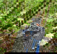 Yarra Ranges National Park - Yamba Accommodation