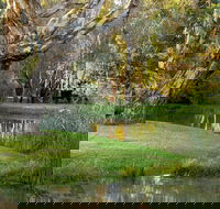 Gateway Island Parklands - Yamba Accommodation