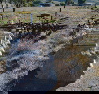 Wangaraleednie Monument  Ruins - Yamba Accommodation