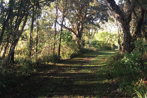 Coffs Harbour To Sawtell Bike Ride - Yamba Accommodation 7