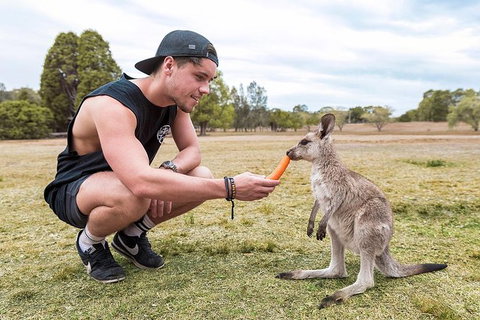 Oz Intro - 9 Day - Yamba Accommodation 6