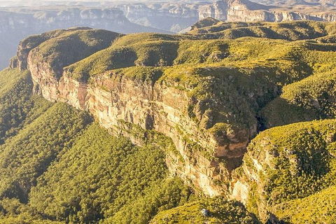 Small Group Blue Mountains, Featherdale, Lunch & Cruise Day Tour - Yamba Accommodation 7