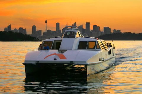 Small Group Blue Mountains, Featherdale, Lunch & Cruise Day Tour - Yamba Accommodation 1