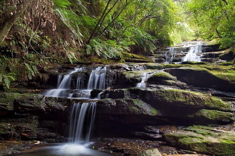 Small Group Blue Mountains, Featherdale, Lunch & Cruise Day Tour - Yamba Accommodation 6