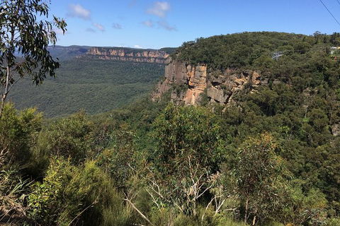Small Group Blue Mountains, Featherdale, Lunch & Cruise Day Tour - Yamba Accommodation 5