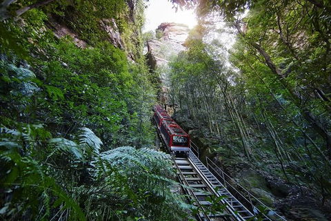 Small Group Blue Mountains, Featherdale, Lunch & Cruise Day Tour - Yamba Accommodation 2