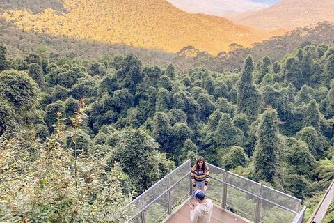 Small Group Blue Mountains, Featherdale, Lunch & Cruise Day Tour - Yamba Accommodation 9