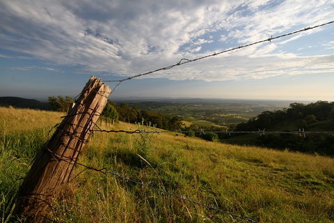 Private Full-Day Wine Tour In Hunter Valley - Yamba Accommodation 3