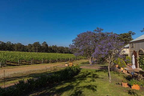Hideaway Private Tours Hunter Valley - Yamba Accommodation 3