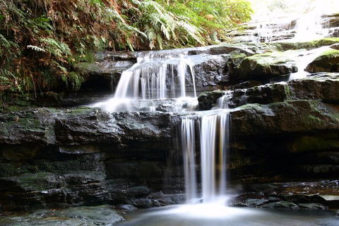Private 10-hour Tour To Blue Mountains From Sydney - Hotel Pick Up & Drop Off - Yamba Accommodation 6