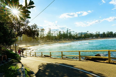 Sydney With Bondi And Beaches Essentials Private Day Tour - Yamba Accommodation 8