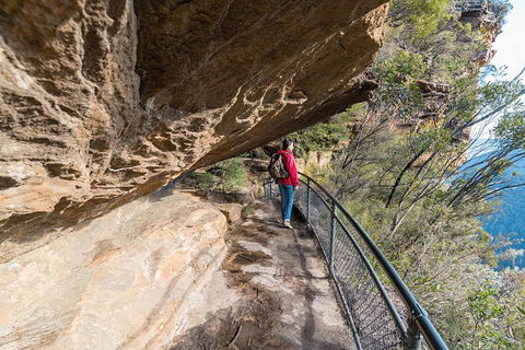 Blue Mountains Highlights & Wildlife Park - Yamba Accommodation 0