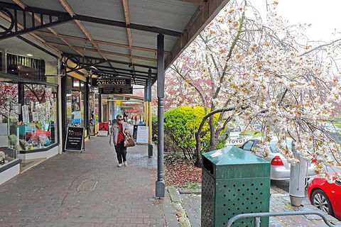 Blue Mountains Highlights & Wildlife Park - Yamba Accommodation 2
