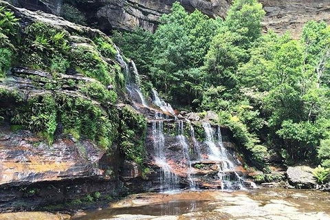 Blue Mountains Highlights & Wildlife Park - Yamba Accommodation 8