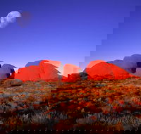Kata Tjuta Afternoon Walpa Gorge Tour - Yamba Accommodation