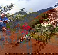 From Yulara Discover Uluru Half Day Bike Tour - Yamba Accommodation