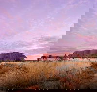 Sunset Australian Barbecue Dinner in Uluru - Yamba Accommodation