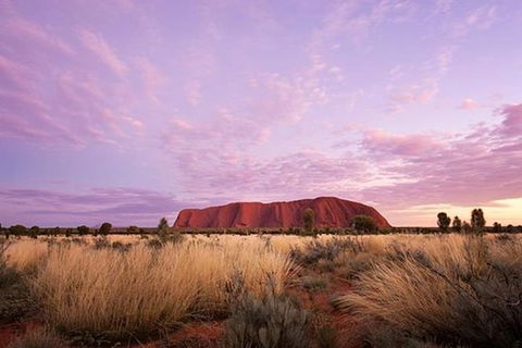 Sunset Australian Barbecue Dinner In Uluru - Yamba Accommodation 0