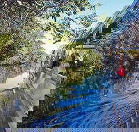 Serenity Cruise to Australia's Everglades - Yamba Accommodation