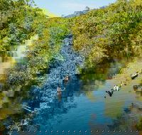 Cruise 'n' Canoe to Australia's Everglades - Yamba Accommodation