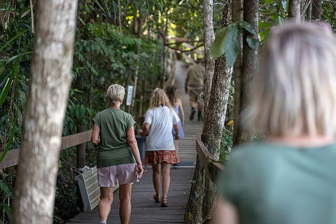 Daintree Rainforest, Cape Tribulation And Bloomfield Track Small Group Tour - Yamba Accommodation 15