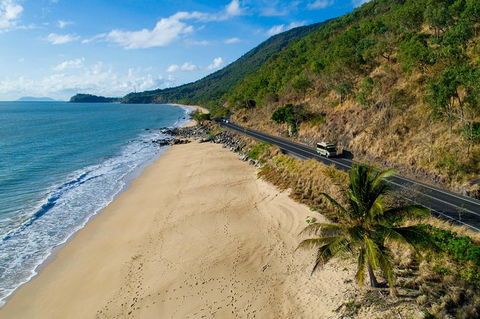 Daintree Rainforest, Cape Tribulation And Bloomfield Track Small Group Tour - Yamba Accommodation 4