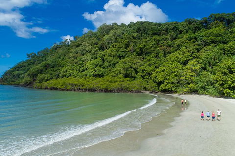 Daintree Rainforest, Cape Tribulation And Bloomfield Track Small Group Tour - Yamba Accommodation 2