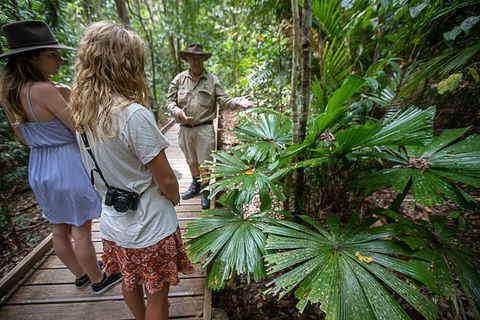 Daintree Rainforest, Cape Tribulation And Bloomfield Track Small Group Tour - Yamba Accommodation 12