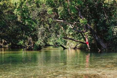 Atherton Tablelands Waterfalls And Rainforest Day Tour Departing Cairns - Yamba Accommodation 3