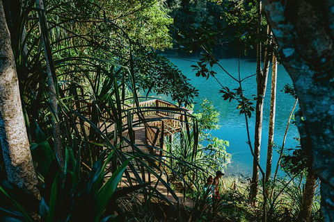 Atherton Tablelands Waterfalls And Rainforest Day Tour Departing Cairns - Yamba Accommodation 5