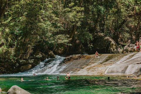 Atherton Tablelands Waterfalls And Rainforest Day Tour Departing Cairns - Yamba Accommodation 8