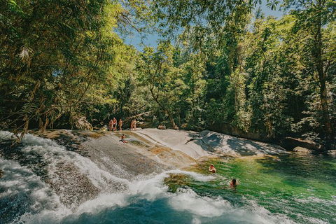 Atherton Tablelands Waterfalls And Rainforest Day Tour Departing Cairns - Yamba Accommodation 0