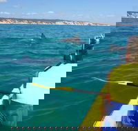 Kayak with Dolphins and 4WD Great Beach Drive Day Trip from Noosa - Yamba Accommodation